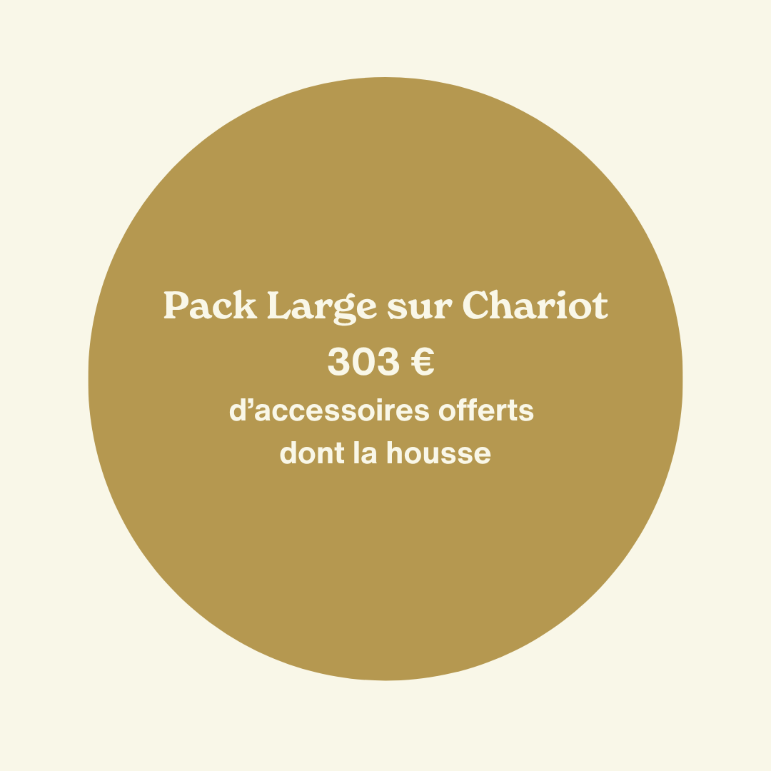 Pack d'accessoires offerts pour le Large sur chariot (housse, racloir et 2 demi-grilles en fonte)